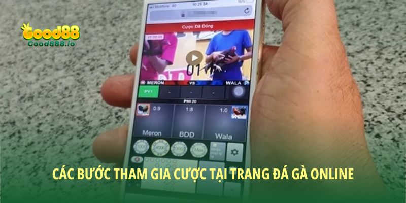 Các bước tham gia cược tại trang đá gà online