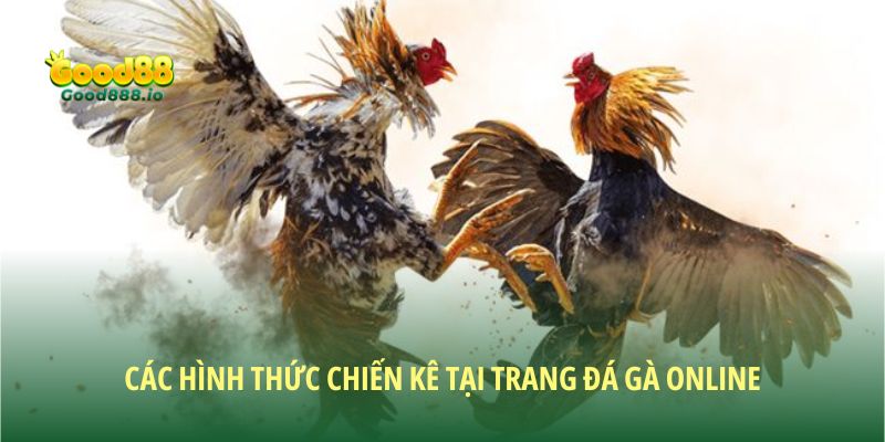 Các loại hình chiến kê thông dụng tại Good88