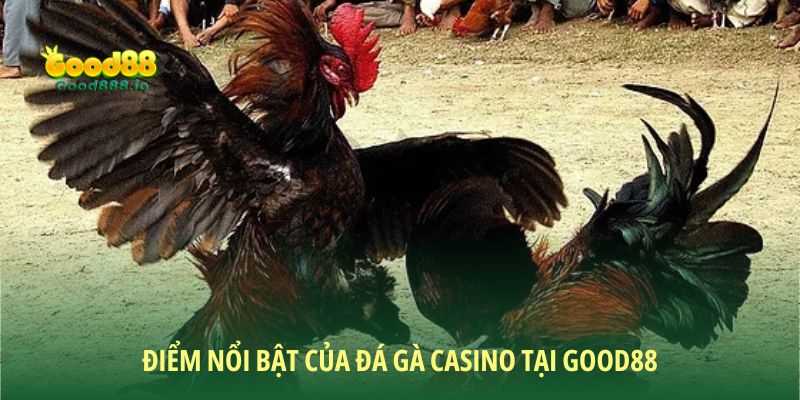 Những ưu điểm tại đá gà Casino Good88