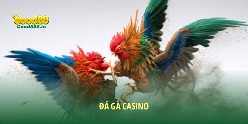 Đá Gà Casino Đem Đến Các Trận Đấu Mãn Nhãn, Kịch Tính