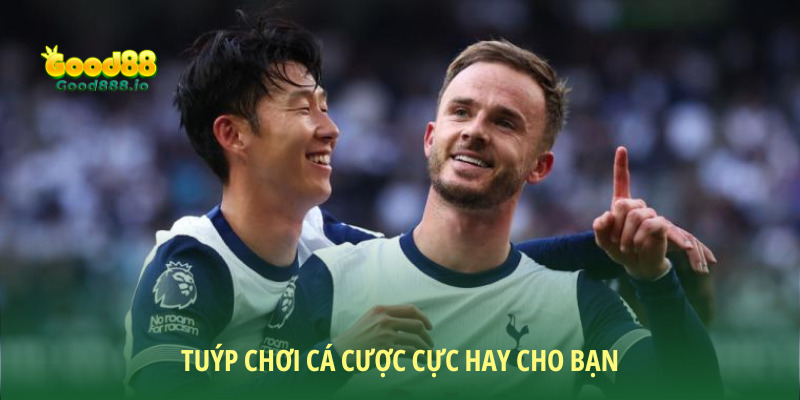 Tuýp chơi cá cược cực hay cho bạn