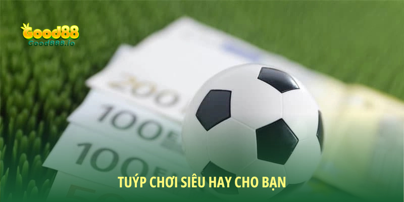 Tuýp chơi siêu hay cho bạn