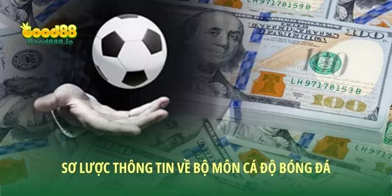 Sơ lược thông tin về bộ môn cá độ bóng đá