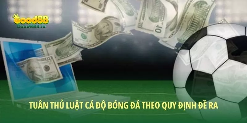 Tuân thủ luật cá độ bóng đá theo quy định đề ra