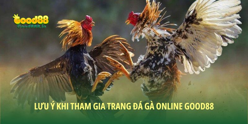 Nguyên tắc vàng khi chơi tại trang đá gà online