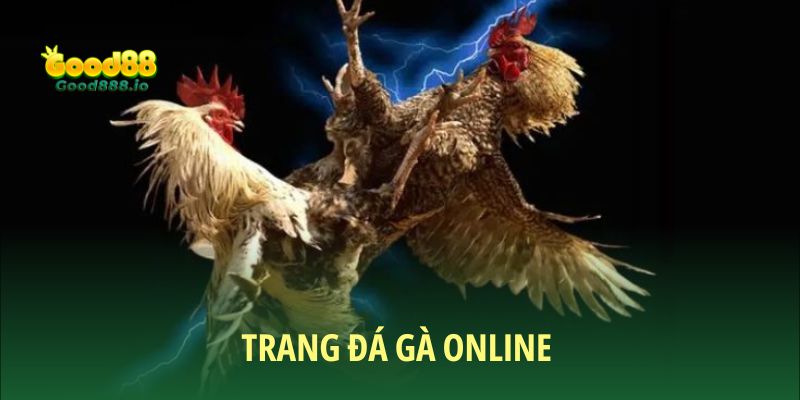 Trang đá gà online Good88