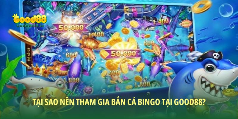 Vài ưu điểm hot hit của sản phẩm săn sinh vật biển bingo